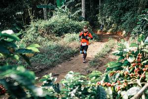 BIB: 
                            <button type="button" onclick="openModal(25857143)" class="btn btn-primary btn-sm float-right btn-popup" data-toggle="modal" data-target=".modal-high-quality">
                        <i class="fas fa-shopping-cart"></i> Add to Cart
                    </button>
                                            <button type="button" onclick="isThisMe(25857143, true)" class="btn btn-success btn-sm float-right btn-popup btn-isme hidden" data-toggle="tooltip" data-placement="bottom" title="นี่คือรูปของคุณใช่ไหม คลิกที่นี่เพื่อเอาเข้าอัลบั้ม">
                        <i class="fas fa-plus"></i> Add to album
                    </button>
                    <button type="button" onclick="isThisMe(25857143, false)" class="btn btn-warning btn-sm float-right btn-popup btn-isnotme hidden">
                        <i class="fas fa-ban"></i> Remove from album
                    </button>